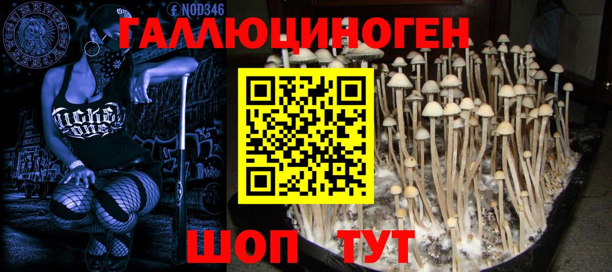 МДМА  ГАШИШ  НБОМе  Карпинск  Вход с VPN  МАРИХУАНА  КОКАИН  МЕФ кристаллы  ГАШ  АМФ  