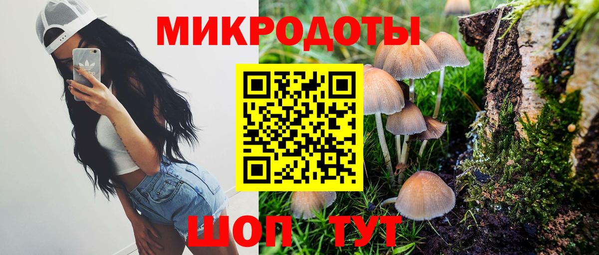 Карпинск  Галлюциногенные грибы Psilocybine cubensis  Вход с VPN 